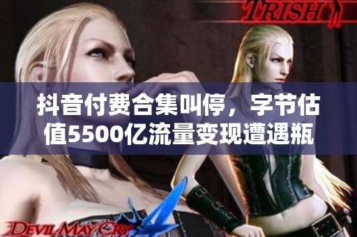 抖音付费合集叫停,字节估值5500亿流量变现遭遇瓶颈 抖音付费合集叫停,字节估值5500亿流量变现遭遇瓶颈
