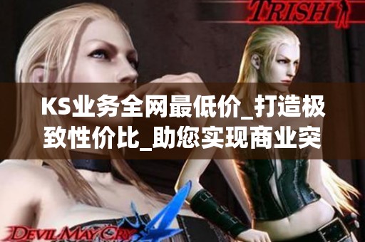 KS业务全网最低价_打造极致性价比_助您实现商业突破