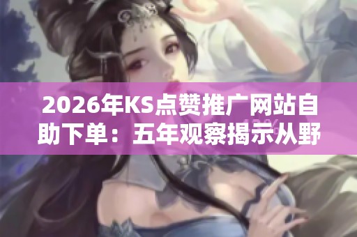 2026年KS点赞推广网站<a href=