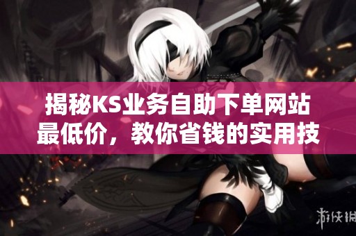 揭秘KS业务自助下单网站最低价，教你省钱的实用技巧