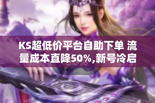 KS超低价平台自助下单 流量成本直降50%,新号冷启动必备
