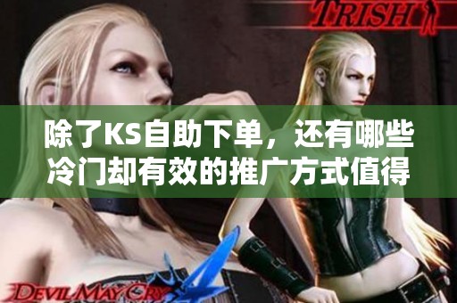 除了KS自助下单,还有哪些冷门却有效的推广方式值得尝试? 除了KS自助下单,还有哪些冷门却有效的推广方式值得尝试?