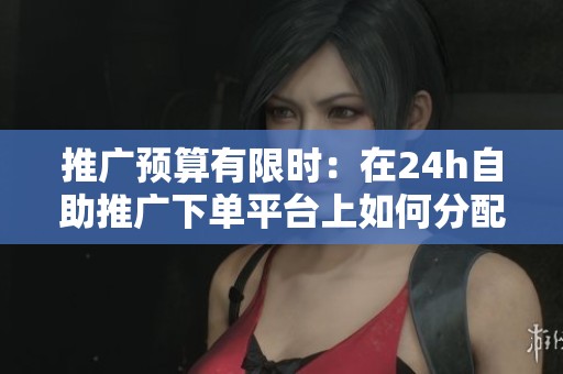 推广预算有限时:在24h自助推广下单平台上如何分配每日50元的投放 推广预算有限时:在24h自助推广下单平台上如何分配每日50元的投放