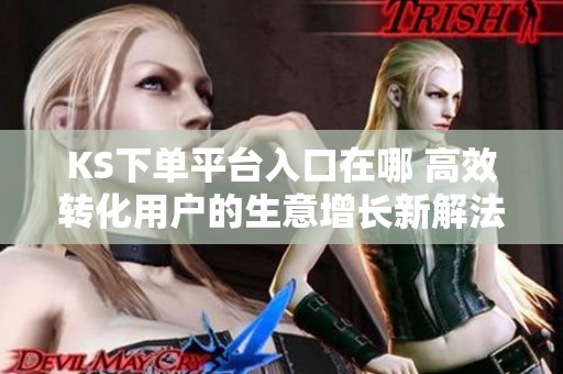 KS下单平台入口在哪 高效转化用户的生意增长新解法