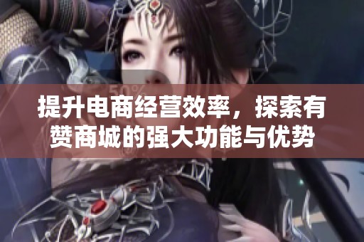 提升电商经营效率,探索有赞商城的强大功能与优势 提升电商经营效率,探索有赞商城的强大功能与优势