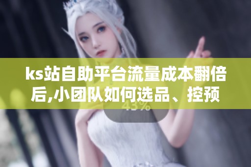 ks站自助平台流量成本翻倍后,小团队如何选品、控预算、保ROI? ks站自助平台流量成本翻倍后,小团队如何选品、控预算、保ROI?