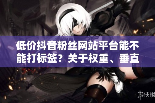 低价抖音粉丝网站平台能不能打标签?关于权重、垂直与转化的追问 低价抖音粉丝网站平台能不能打标签?关于权重、垂直与转化的追问