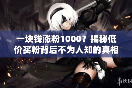 一块钱涨粉1000?揭秘低价买粉背后不为人知的真相和风险 一块钱涨粉1000?揭秘低价买粉背后不为人知的真相和风险