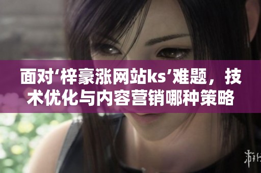 面对‘梓豪涨网站ks’难题,技术优化与内容营销哪种策略更有效? 面对‘梓豪涨网站ks’难题,技术优化与内容营销哪种策略更有效?