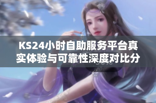 KS24小时自助服务平台真实体验与可靠性深度对比分析 KS24小时自助服务平台真实体验与可靠性深度对比分析