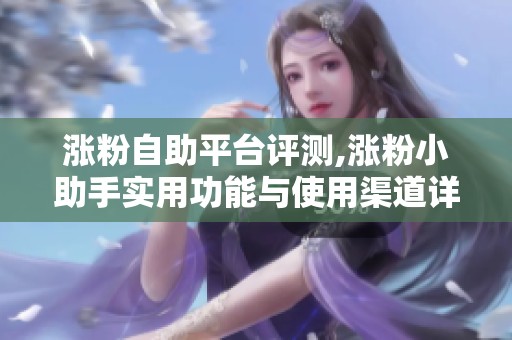 涨粉自助平台评测,涨粉小助手实用功能与使用渠道详解,逻辑拆解,1
