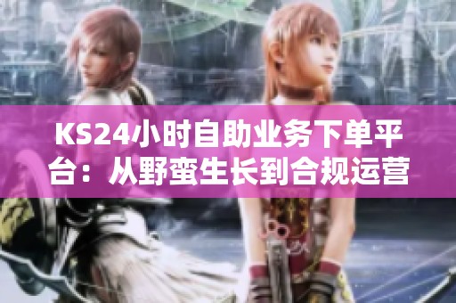 KS24小时自助业务下单平台：从野蛮生长到合规运营的全面转型之路